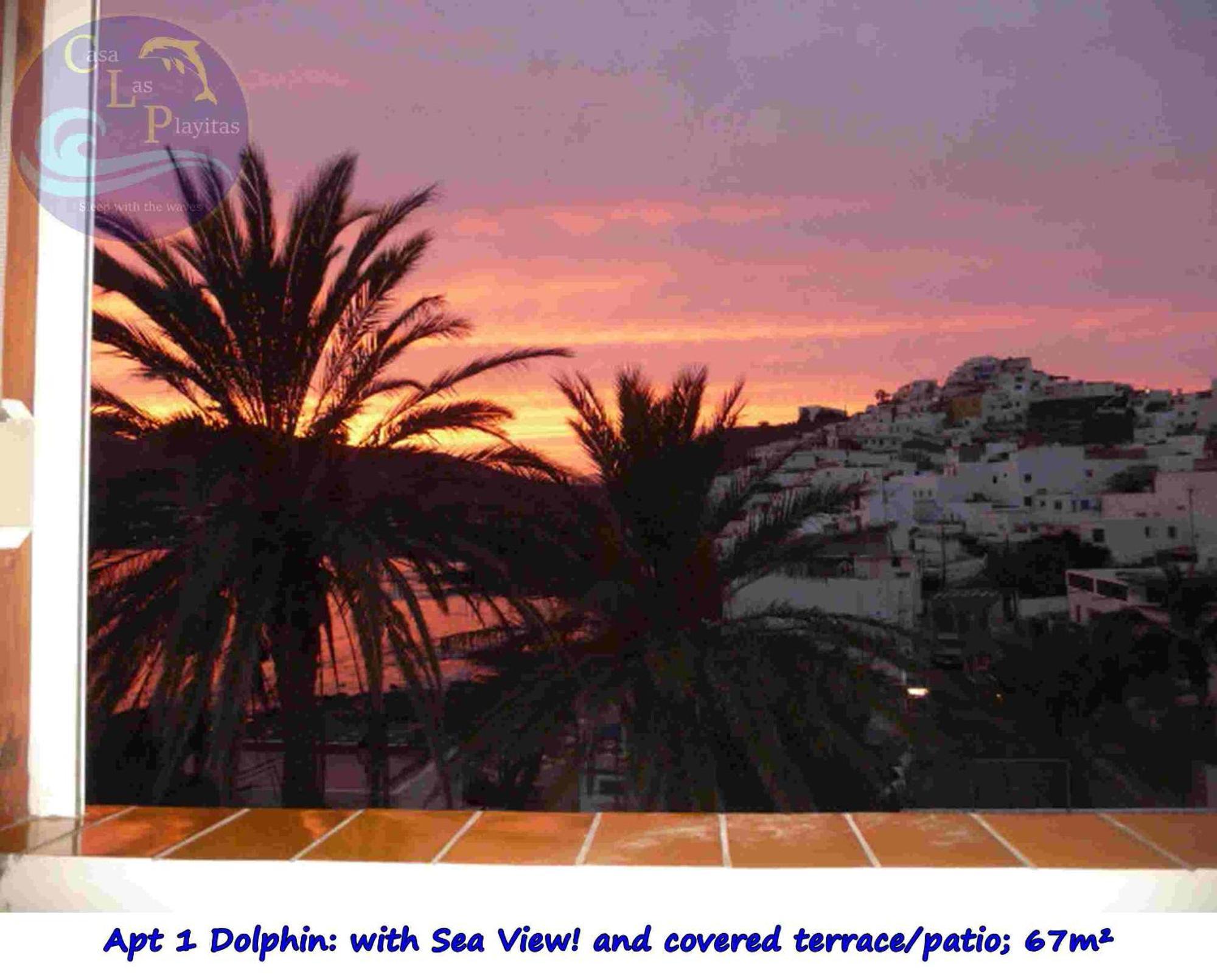 Casa Las Playitas -Clp- Best Sea View - In 1 Minute Ocean Las Playas Eksteriør billede