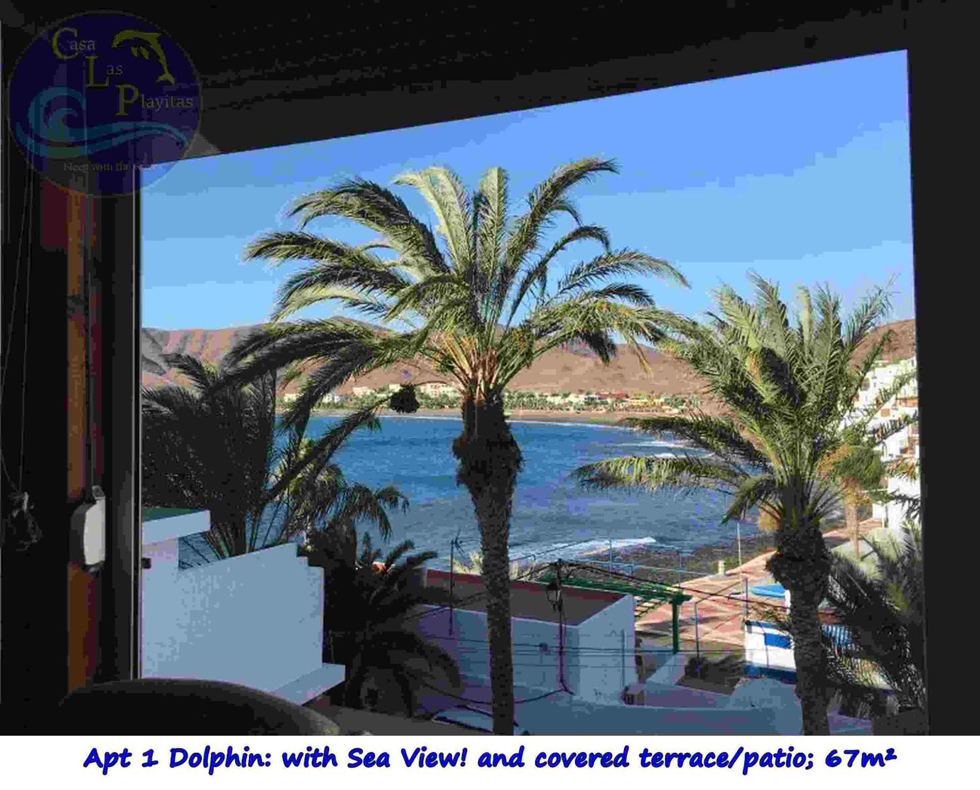 Casa Las Playitas -Clp- Best Sea View - In 1 Minute Ocean Las Playas Eksteriør billede