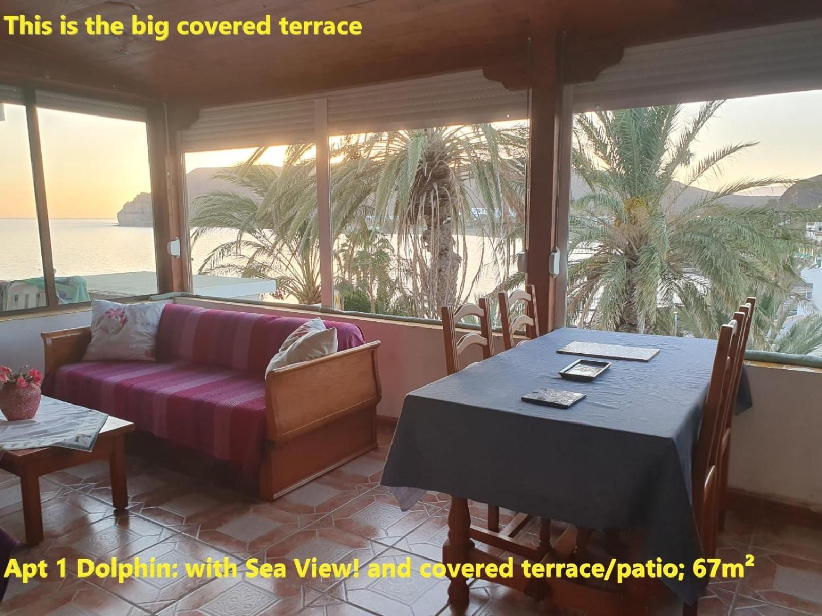 Casa Las Playitas -Clp- Best Sea View - In 1 Minute Ocean Las Playas Eksteriør billede